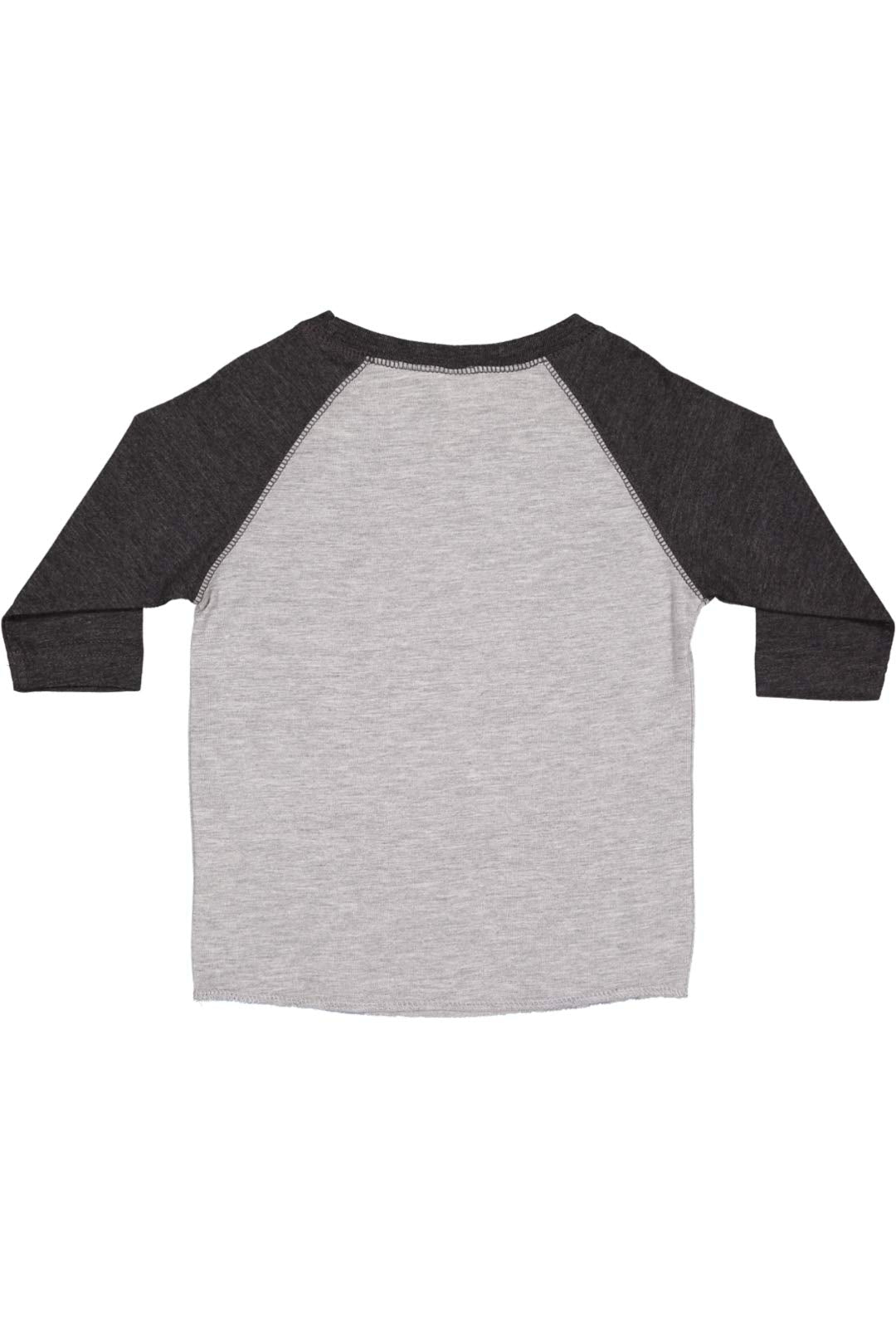 Rabbit Skins Toddler Fine Jersey Raglan 3/4 Sleeve Baseball Tee, Vintage Heather/Vintage Smoke, 2T