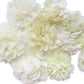 Yycraft 15Pcs Ivory Chiffon Flower For Girls Headband Baby Flowers Bows,Crafts,Party Decoration(2'-4.5')