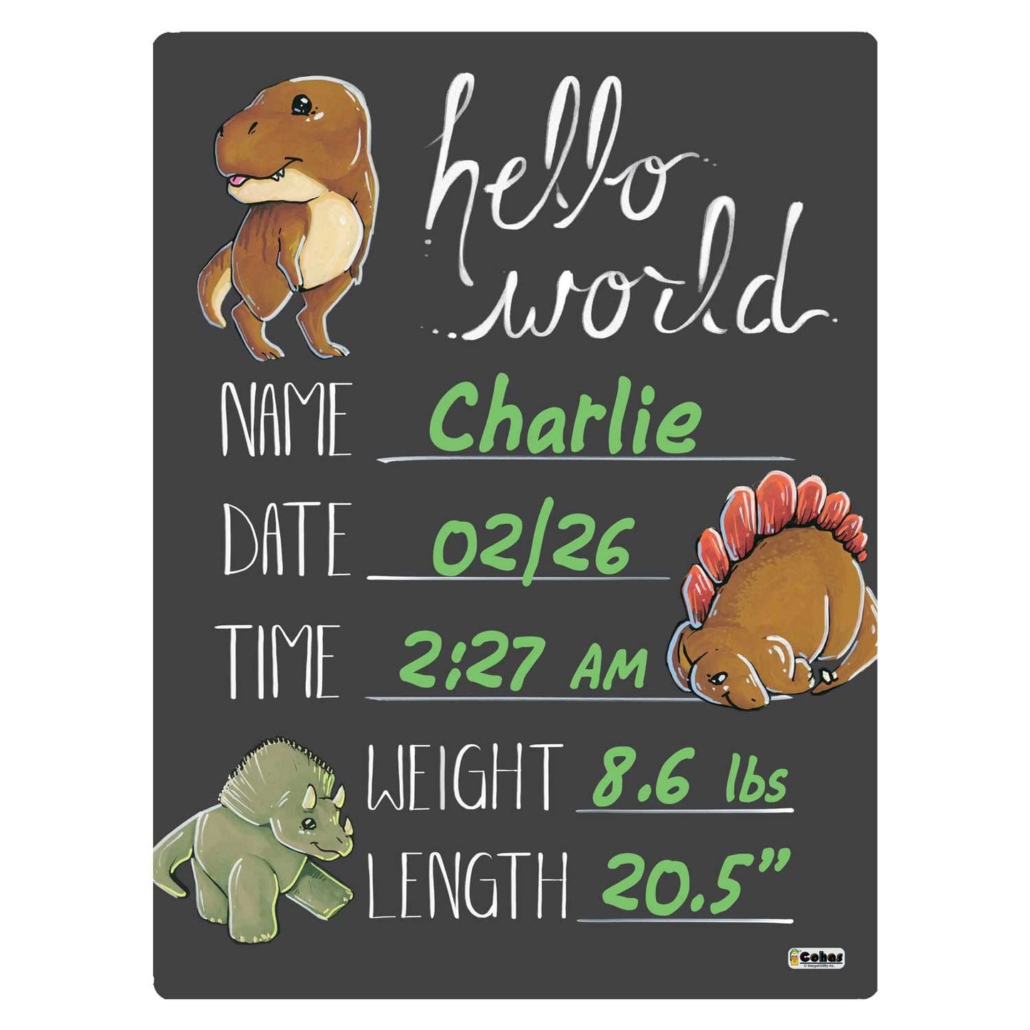 Cohas Hello World Newborn Baby Announcement Chalkboard Sign With Dinosaur Theme, 9 By 12 Inches, No Marker