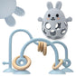 Baby High Chair Suction Toys Teething Chew - Baby Teething Toys Silicone Teethers, Table Toys, Food Grade Silicon for 6 12 18 Mo