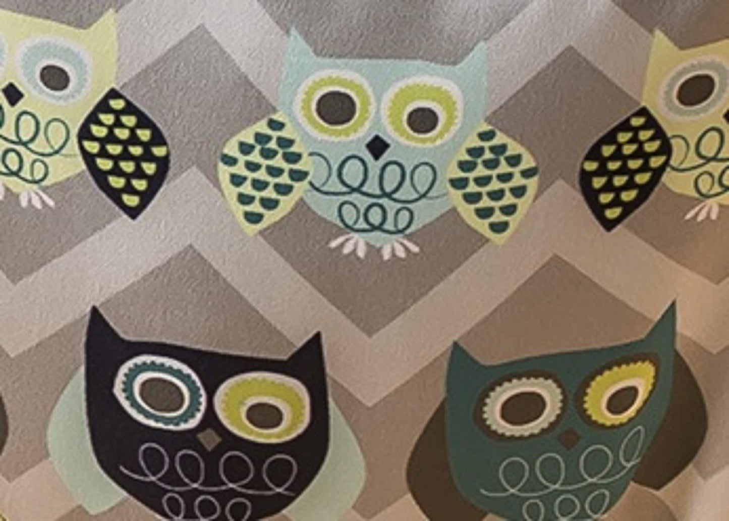 Evenflo Exersaucer Johnny Jumper Featuring Easy-To-Use Clamp Attachment For Quick And Tool-Free Set Up And Adjustable Straps To