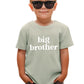Sanixjoo Big Brother Shirt For Toddler Promoted To Best Big Brother Announcement Baby Boys Summer Short Sleeve Clothes(Sage Gree