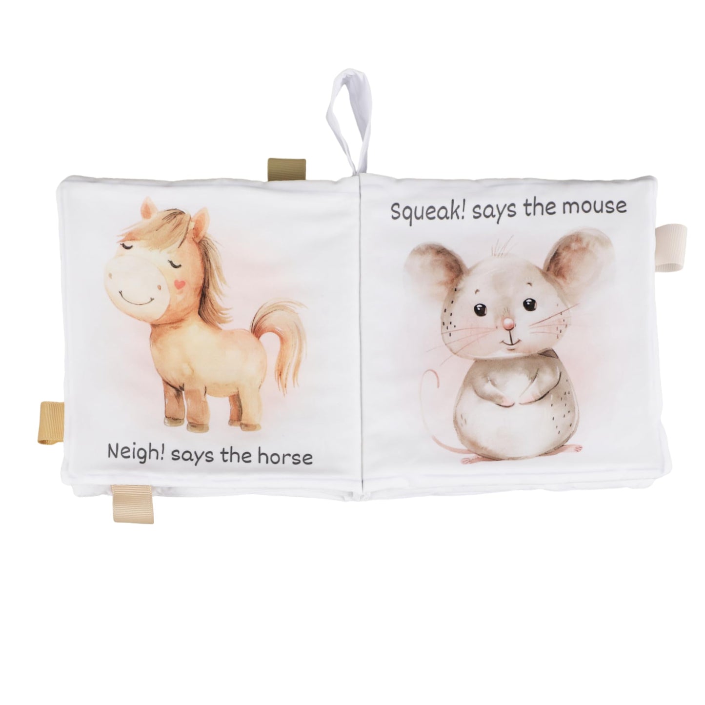Ali+Oli Baby Cloth Book - Soft Sensory Crinkle Book for Infants 0-12 Months - Early Learning Touch & Feel Tummy Time Toy - Color