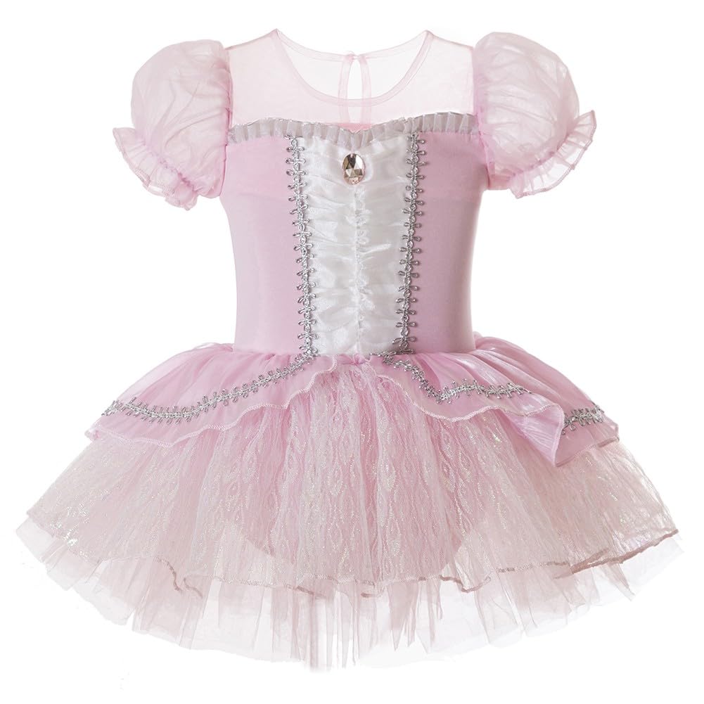 DYMCII Baby Girls Elsa Princess Ballet Dress Short Sleeve Leotards Skirted Tutu Halloween Birthday Party Fancy Costume 5-6T
