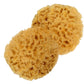 Spa Baby Absorbent Natural Bath Sponge Spa Destinations. Ultra Soft Premium Sea Wool Sponge, Biodegradable, Bath Accessories Bab