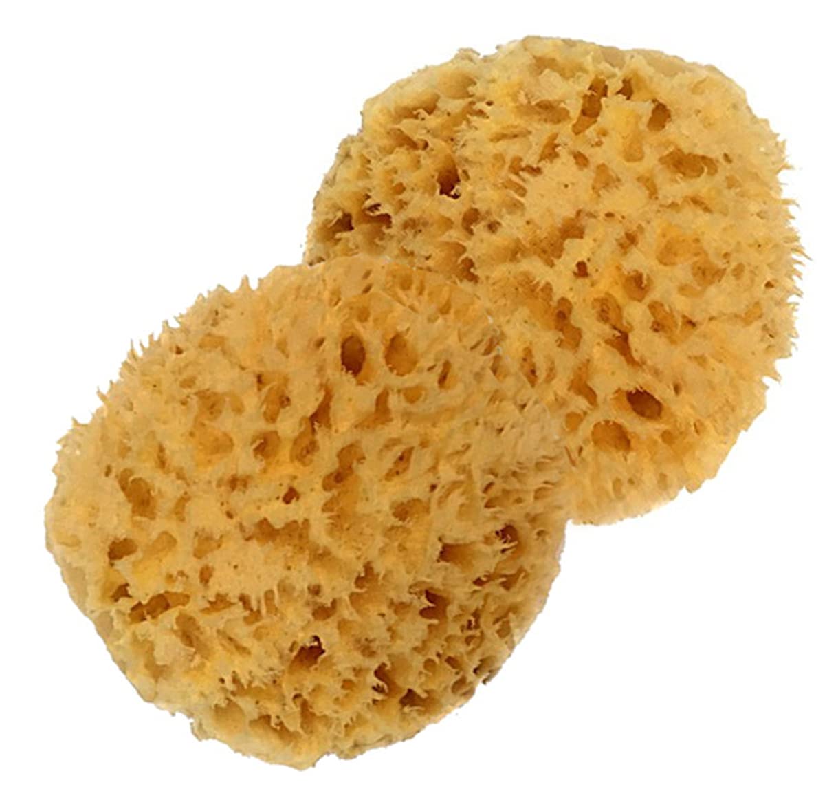 Spa Baby Absorbent Natural Bath Sponge Spa Destinations. Ultra Soft Premium Sea Wool Sponge, Biodegradable, Bath Accessories Bab