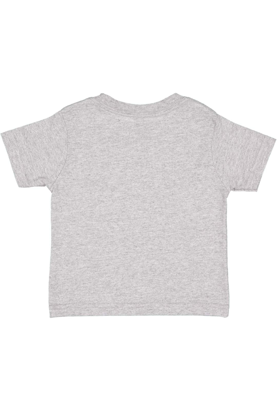 Rabbit Skins Infant 100% Cotton Jersey Short Sleeve Tee, Heat, 18 Months