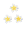 LDDCX White Hair Clip Headband Hairpin Hawaiian Flower Hairpin Barrette Hair Accessories for baby Girls.(FJ89) (Type B)