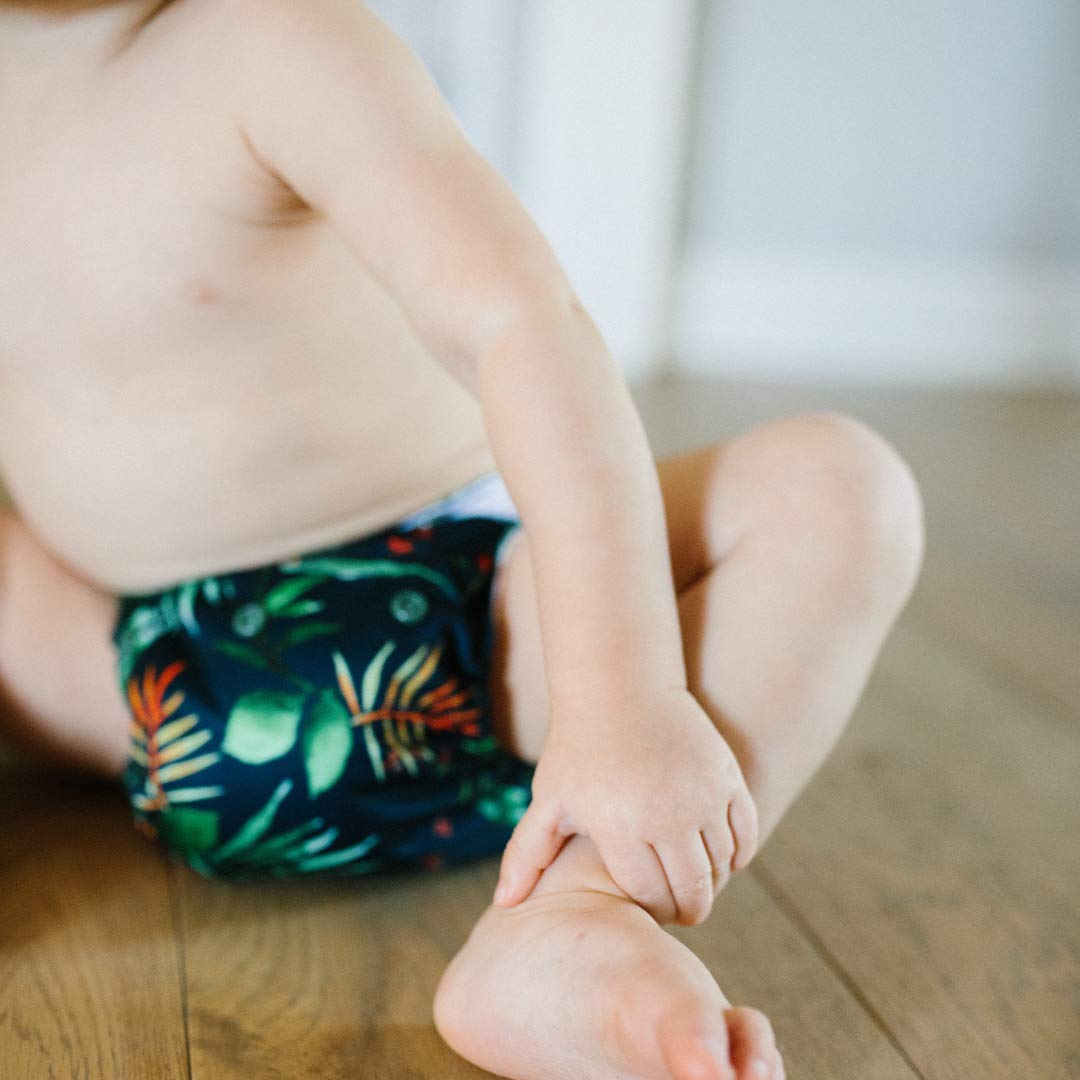 The Hollywood Hotel 4-Pack Cloth Pocket Diapers with 4 Inserts