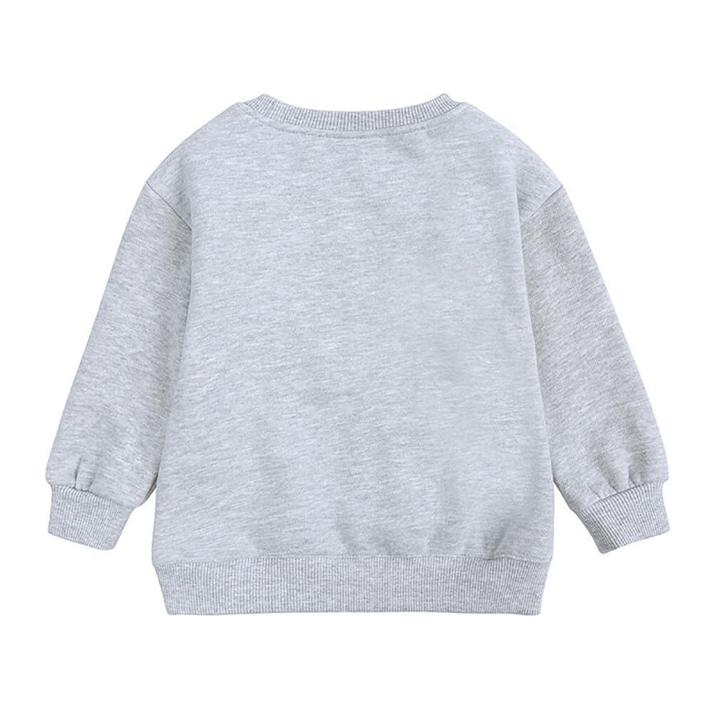 Rukosu Toddler Baby Boy Girl Fleece Pullover Sweatshirt Solid Color Crewneck Blouse Shirt Tops Warm Fall Winter Clothes Grey 3-4