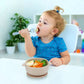 Pandaear 3 Pack Baby Bowls With Suction| Stay Put Silicone Food Bowl For Babies Kids Toddlers Infants| Food Grade Soft Safe Bpa-