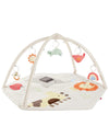 Skip Hop Baby Play Gym 3-in-1 Sensory Tummy Time Activity Mat with 17+ Skill-Building Developmental Activities, 14 Animals & Sha