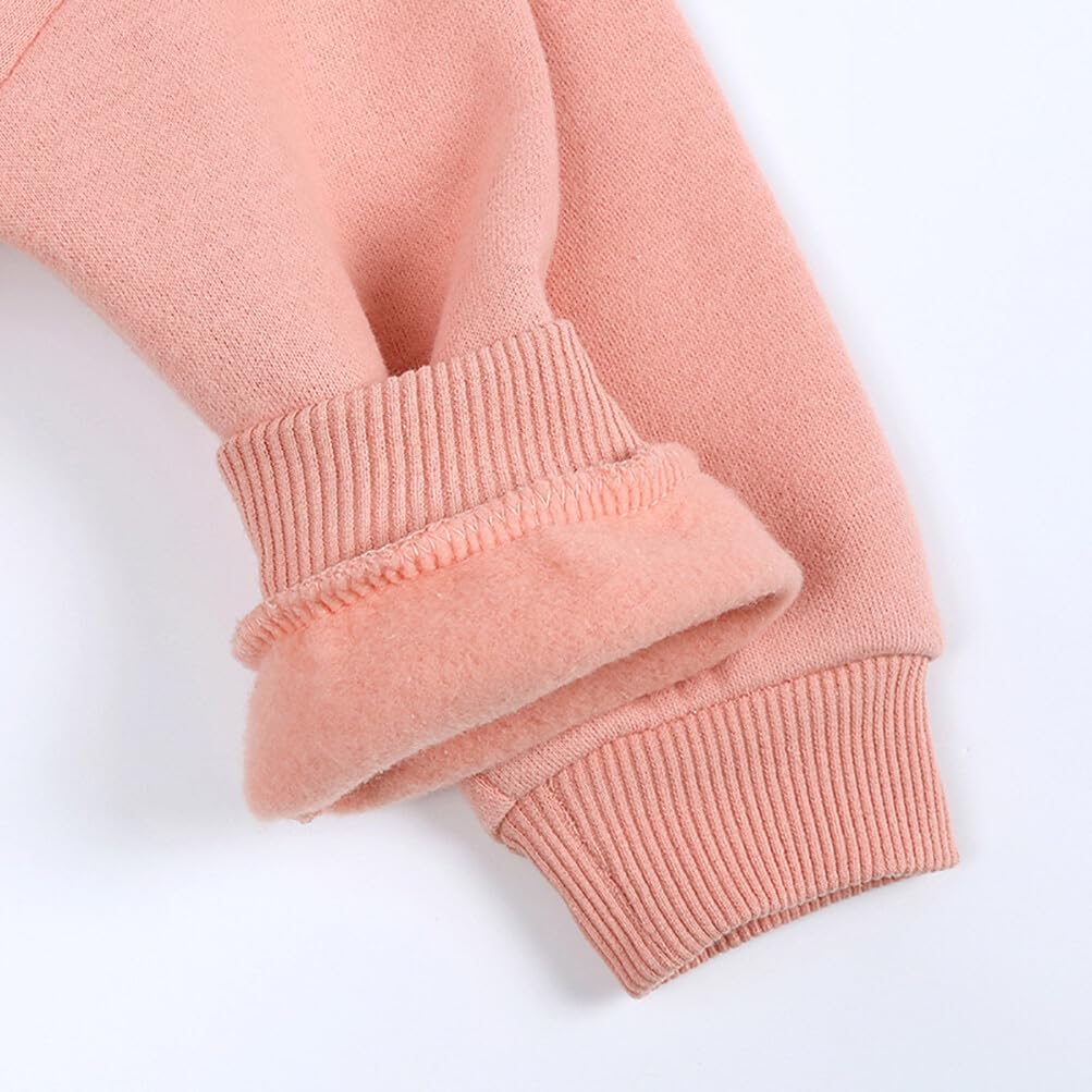 Rukosu Toddler Baby Boy Girl Fleece Pullover Sweatshirt Solid Color Crewneck Blouse Shirt Tops Warm Fall Winter Clothes Pink 6-9