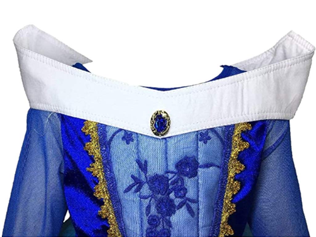 Dreamhigh Sleeping Beauty Princess Party Girls Costume Dress (Blue, 5-6 Years)
