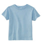 Rabbit Skins Toddler Jersey T-Shirt, Light Blue, 4T