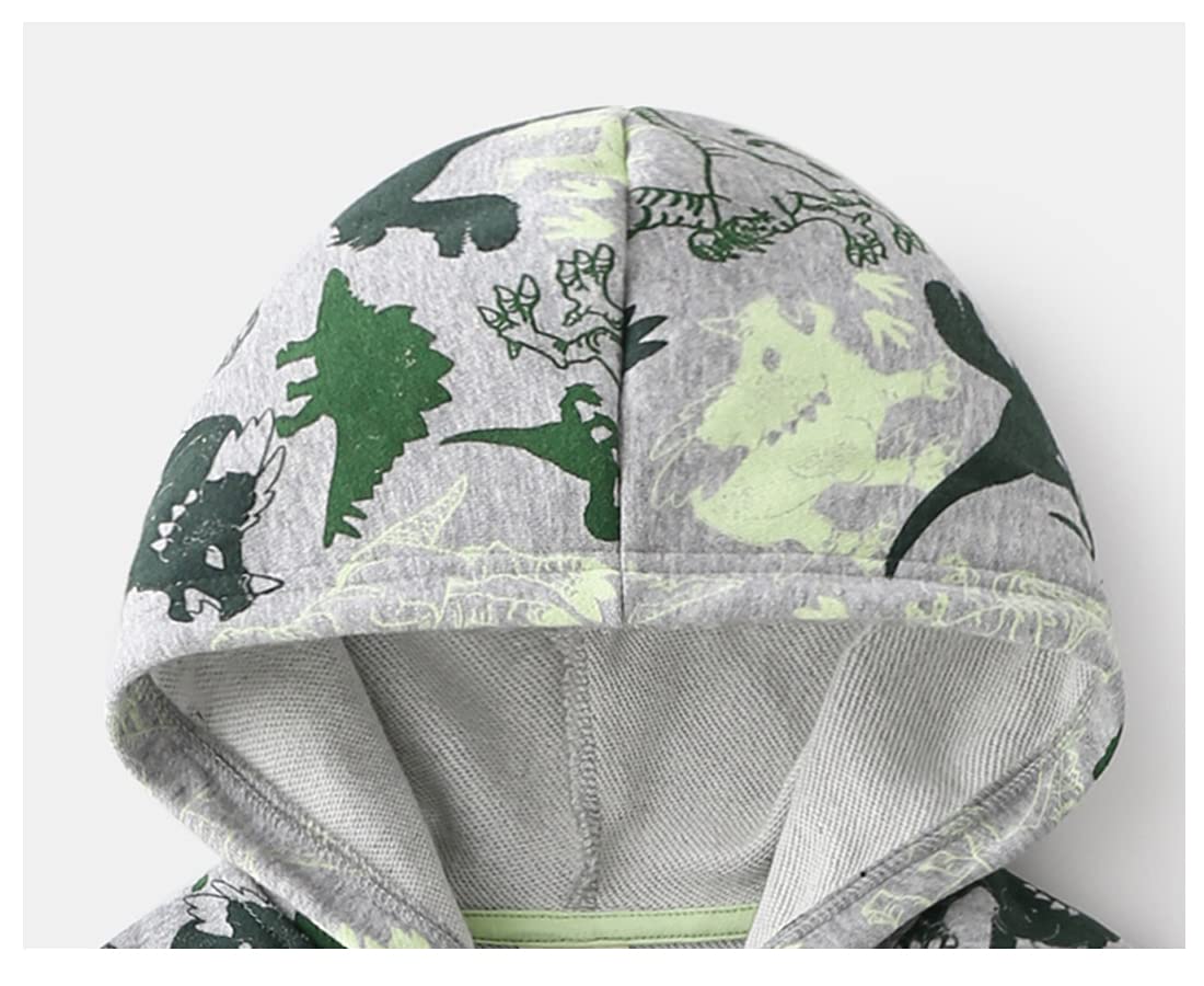 Nautysaurs Boys Zip-Up Dinosaur Hoodies Toddler Light Jackets Zipper Sweatshirt (C-Grey, 4T)