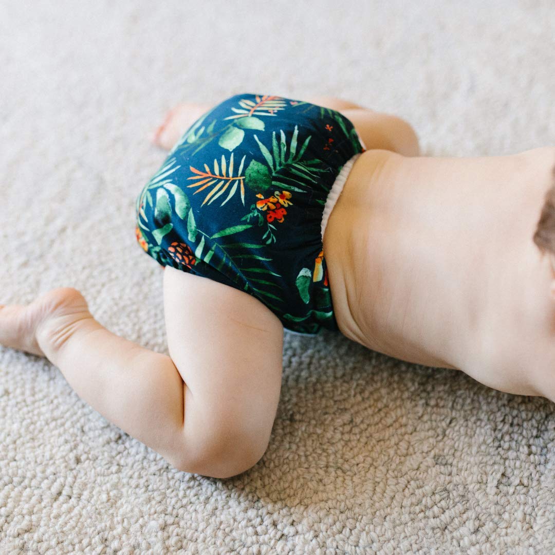 The Hollywood Hotel 4-Pack Cloth Pocket Diapers with 4 Inserts