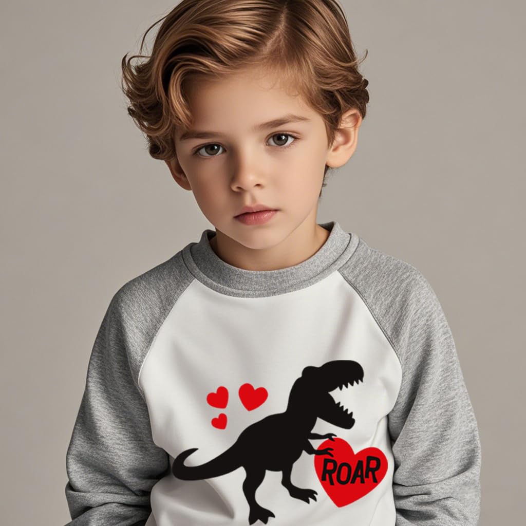 Xfsjgna Valentines Sweatshirts For Girls 6T Toddler Boys Valentine'S Day Dinosaur Heart Graphic Shirt Kids Long Sleeve Tops Gray