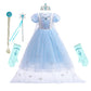 Rexreii Girls Frozen Elsa Princess Dress Halloween Costume Christmas Wedding Birthday Evening Party Gown W/Accessories Blue 4-5T