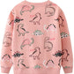 Dinosaur Sweatshirts For Girls Toddler Girl Dinosaur Long Sleeve Pullover Top Shirts Baby Girls Winter Clothes Crewneck Dino Swe
