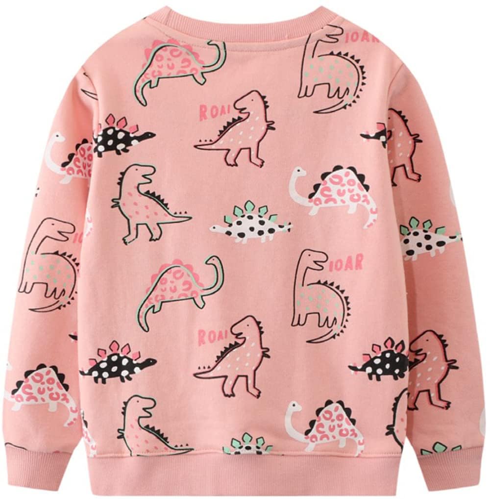 Dinosaur Sweatshirts For Girls Toddler Girl Dinosaur Long Sleeve Pullover Top Shirts Baby Girls Winter Clothes Crewneck Dino Swe