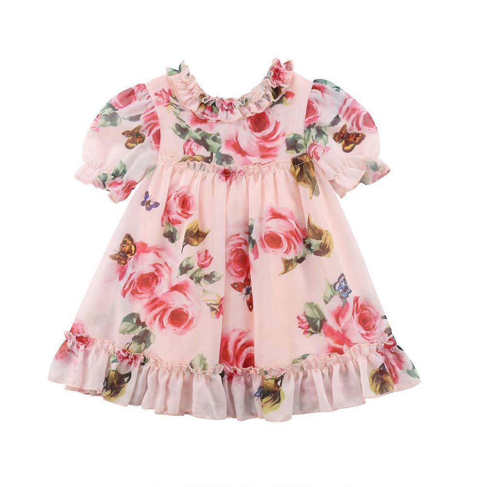 Toddler Baby Girls Flower Print Ruffles Princess Dress Sundress Clothes Outfit (2-3 T, Pink)