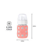 Lifefactory 8-Ounce Stainless-Steel Vacuum-Insulated Wide-Neck Baby Bottle With Hard Sippy, Cantaloupe (Ls2221Wca4)