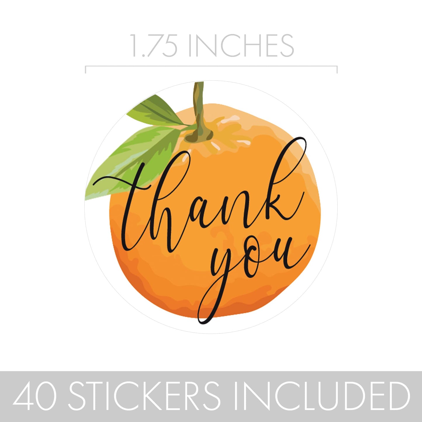 Little Cutie Baby Shower Thank You Stickers - 40 Labels