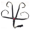 5 Point Harness Seat Belt