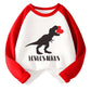 Toddler Boy Valentines Day Shirt Boys Girls Heart Dinosaur Long Sleeve Raglan Kids Shirts For Valentines Red Tops 2T