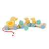 Tender Leaf Toys - Pull Along Ducks - Classic Wooden Pull Along Toy - 9pc Duck Family Set with 1 Mother Duck, 2 Baby Ducks, 3 Eg