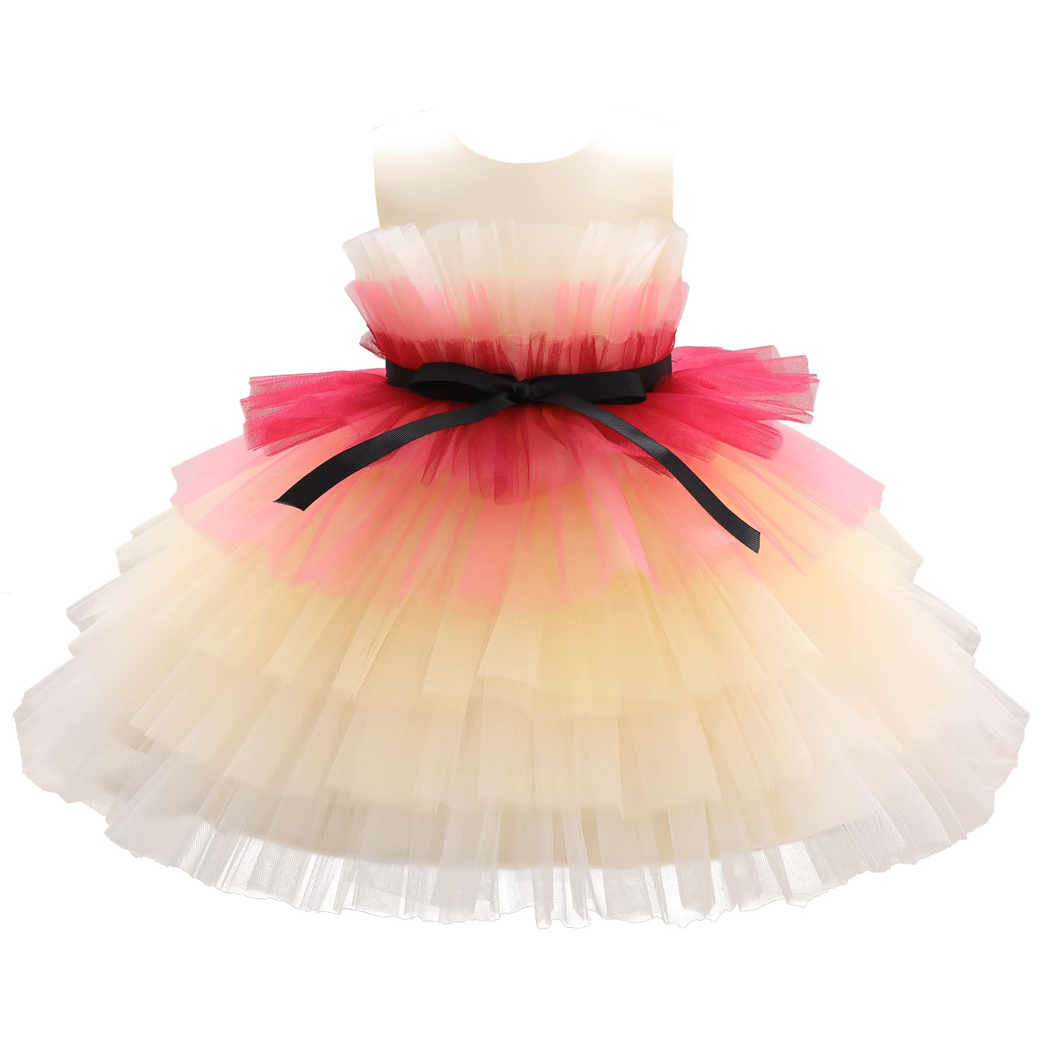 Flower Baby Girl Lace Dress Toddler Tulle Sleeveless Bow Princess Party Wedding WBBAPB09MQJRRTF