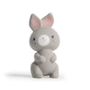 Ingenuity Sylvi Natural Rubber Teether 5.75 Toy, BPA Free, for Babies Ages 3+ Months, Multisensory