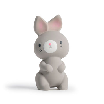Ingenuity Sylvi Natural Rubber Teether 5.75 Toy, BPA Free, for Babies Ages 3+ Months, Multisensory
