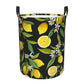 Pevtufa Lemon Fruits Flowers Leaves Foldable Laundry Basket Organizer,Fabric Clothes Toy Storage Basket Nursery Hamper Storage B