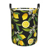 Pevtufa Lemon Fruits Flowers Leaves Foldable Laundry Basket Organizer,Fabric Clothes Toy Storage Basket Nursery Hamper Storage B