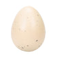 Surprise Growing Dinosaur Hatch Egg Kids Novelty Toy- Pack of 2