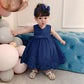 Baby Girls Christmas Pageant Lace Dresses Infant Easter Halloween Wedding Formal Event Dress (Navy Blue,24M)