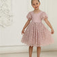 2Bunnies Girl Paisley Lace Back A-Line Tutu Tulle Party Flower Girl Dress (All Lace Flutter Sleeve Knee-Dusty Pink, 3T)