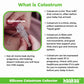 Haakaa Silicone Colostrum Collector Set With Clear Pp Storage Case 4 Ml, 6 Pk, Pre-Sterilized