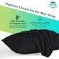 Travel Pillow Case 14X20 Size Set Of 2 Envelope Closure Toddler Pillowcase 600 Thread Count 100% Soft Egyptian Cotton Travel Pil
