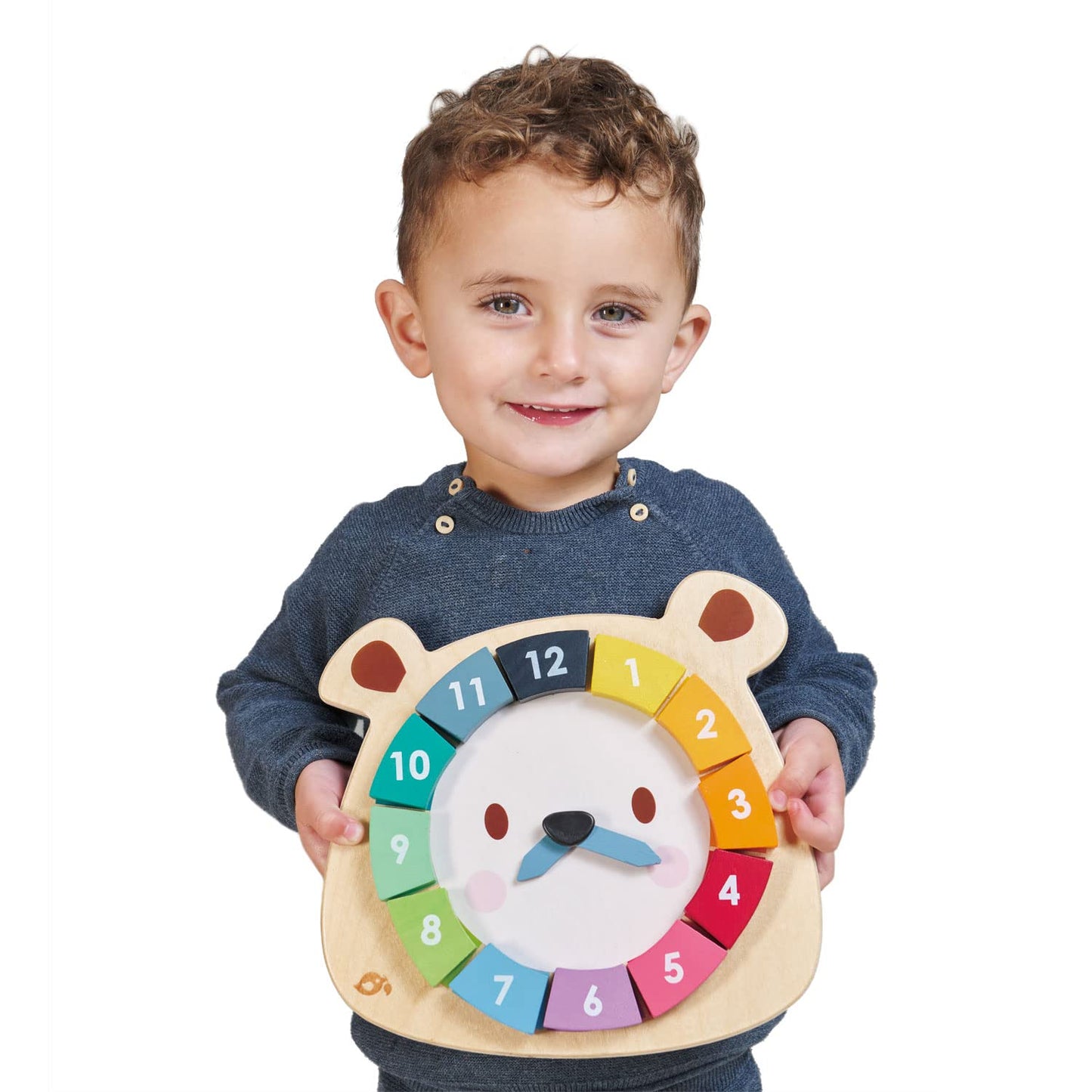 Tender Leaf Toys - 12 Pcs Bear Colors Clock, Early Learning Time, Educational Learning Clock Toy - Wooden Clock, Lovely Shapes -