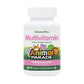 Natures Plus Animal Parade Multivitamin Childrens Chewables - Watermelon Flavor - 90 Animal Shaped Tablets - Promotes Health And