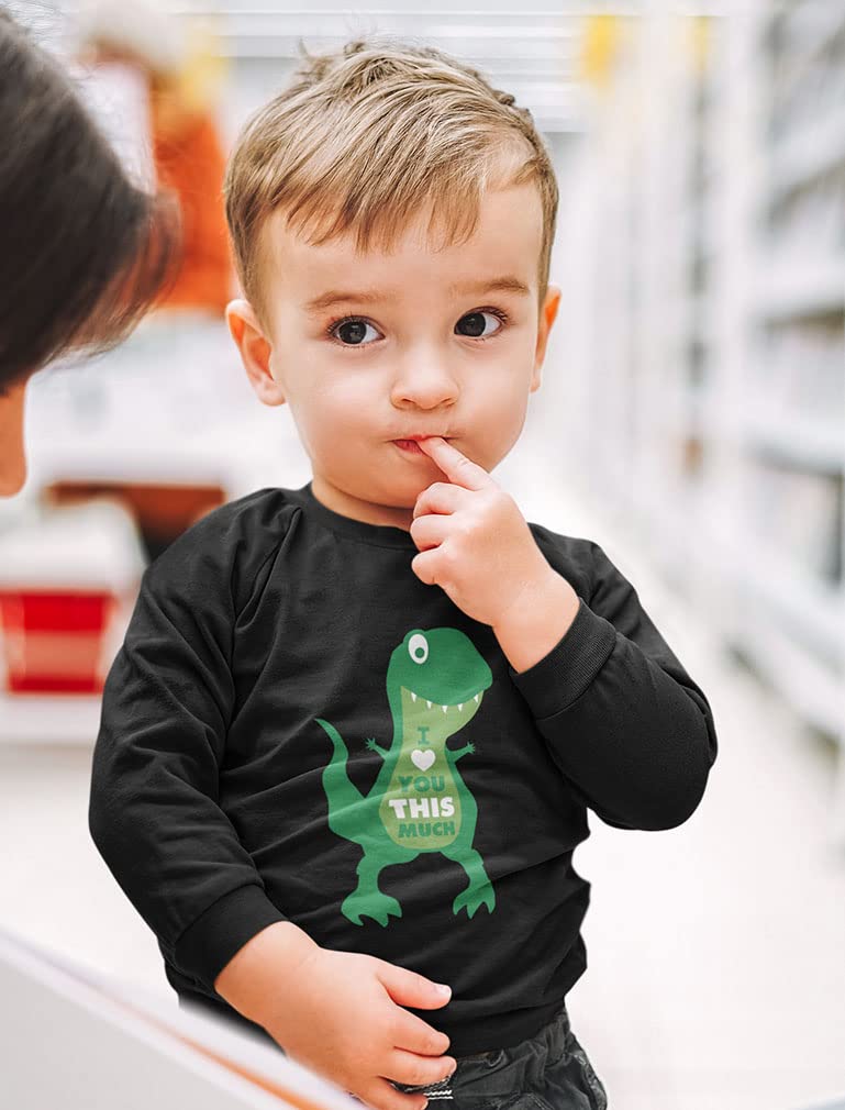 Dinosaur Boys Valentines Shirt Long Sleeve Funny Trex Heart Crusher Valentine Day Toddler Boy Kids T-Shirt 3T Black