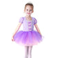 DYMCII Baby Girls Sofia Princess Ballet Dress Short Sleeve Leotards Skirted Tutu Halloween Christmas Party Fancy Costume 4-5T