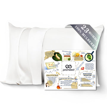 Promeed 100% Mulberry Silk Toddler Pillowcase 13 X 18, Premium Natural 23 Momme Real Silk Pillow Case Toddler/Travel Size With F