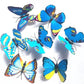 Dreamhigh Butterfly Party Girls Costume Dress Size 5-6 Years Sky Blue