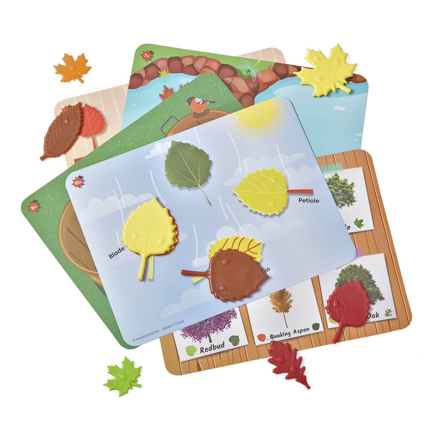 hand2mind Sensory Leaves Math Activity Set, Pattern Play, Shape Puzzle, Pattern Blocks Cards, Math Counters, Sorting Toy, Shapes
