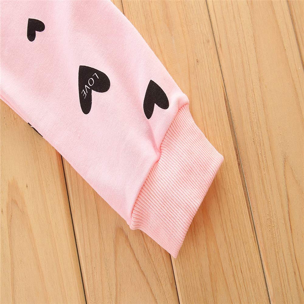 Little Girl Clothes Infant Outfits Set 2 Pieces Long Sleeved Tops And Pants (Pink, 18-24 Months)