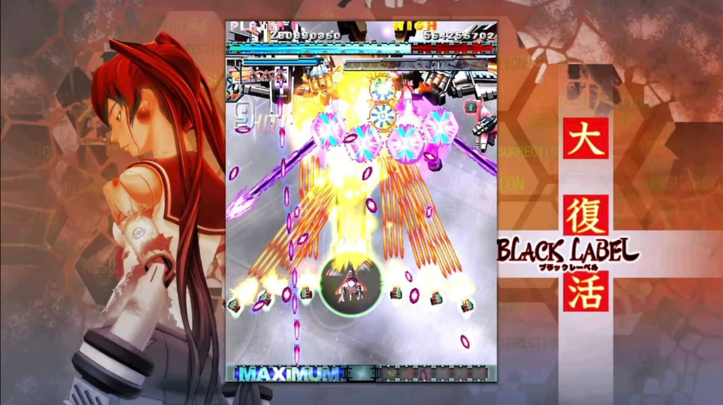 Dodonpachi Resurrection (Import)